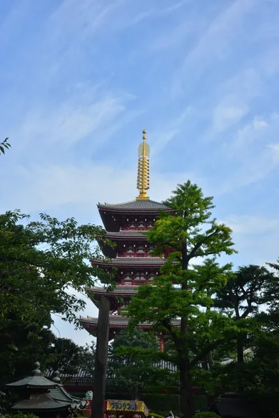 DSC_3501 (Large).JPG